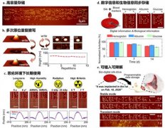 澳门永利网站_不仅可以像